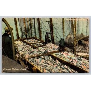 Postcard A Good Salmon Catch Fishing Boat Posted Copyright 1907 Case Draper USA